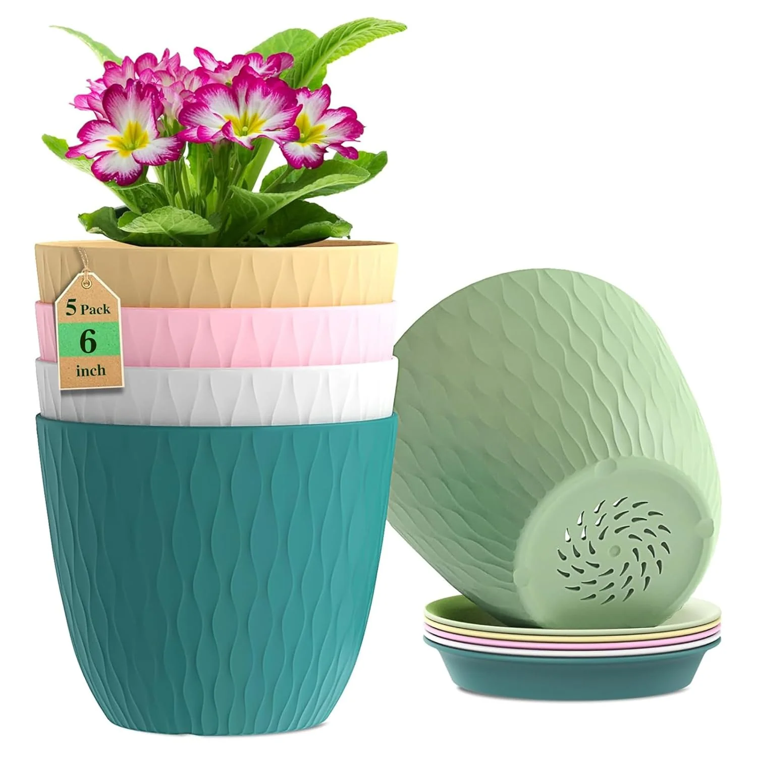 Welcome to Our Store